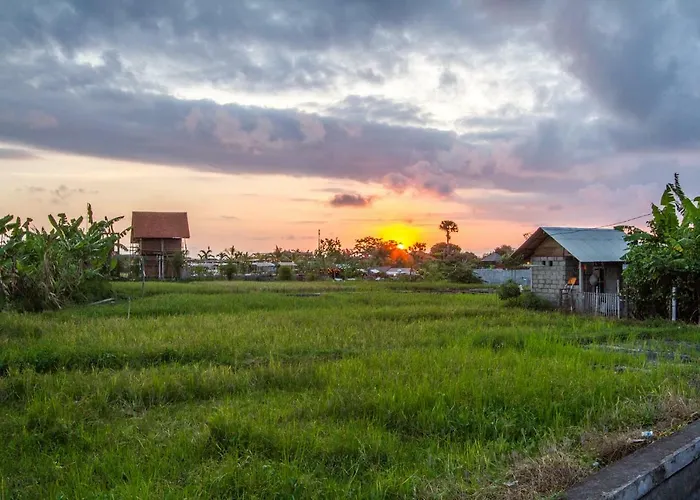 Maje By Alfred In Bali فيلة *